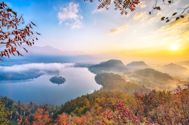 深度探索:華為手機如何完美登錄deepseek的技巧與指南-DeepSeek