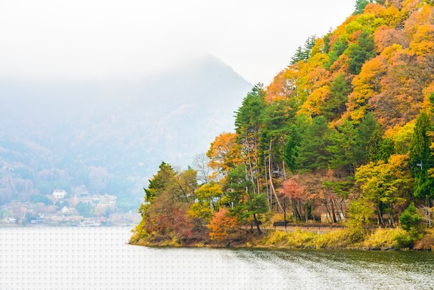 如何在手機(jī)上安全安裝和使用DeepSeek助手 - DeepSeek-DeepSeek