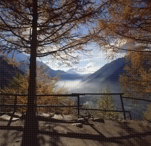 如何在手機上輕松安裝DeepSeek并快速上手使用-DeepSeek