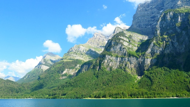 穩(wěn)定靠譜的網(wǎng)上兼職工作有哪些推薦與技巧分享-DeepSeek