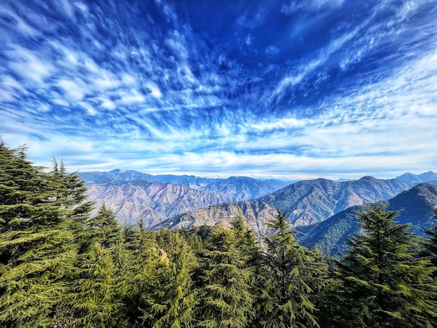 適合寶媽的高收入兼職項目推薦-DeepSeek